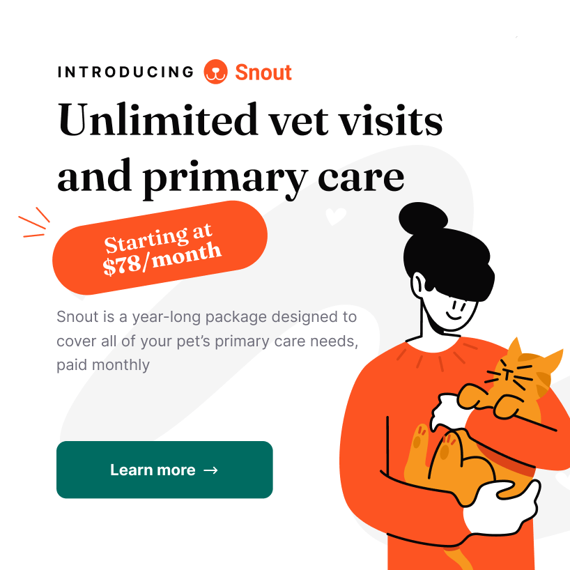 Snout Ad