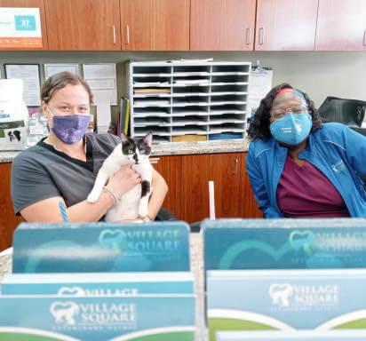 best veterinary care in florida